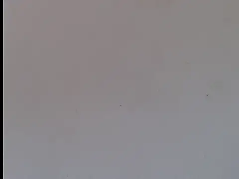 Alejandroo 22 online show from October 15, 8:49 pm