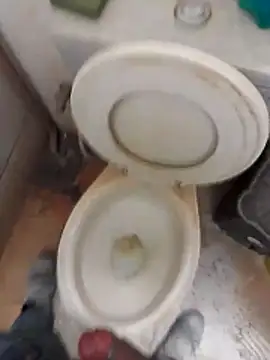 paugrosso553 online show from November 8, 1:47 pm