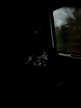 Sir-Tucker online show from November 26, 9:29 pm