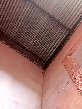 317894 online show from November 21, 1:54 pm