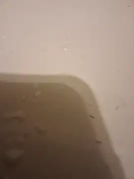 moasslicker online show from October 21, 4:48 am