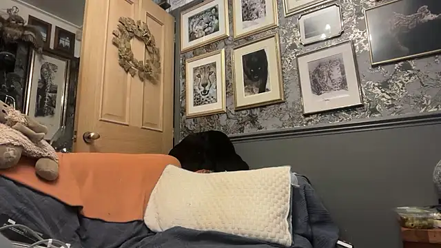 poggles online show from February 21, 8:21 pm