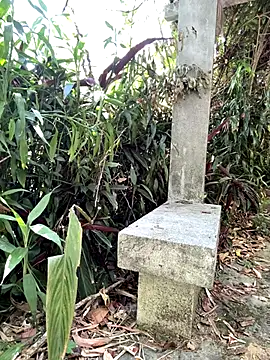 Snapshot of zack23088 chatting on October 18, 2:05 am zack23088 online show from October 18, 2:05 am