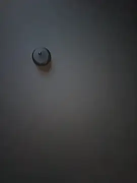 curis4270panda online show from February 16, 8:01 am