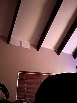 Venda-boi online show from October 1, 3:43 am