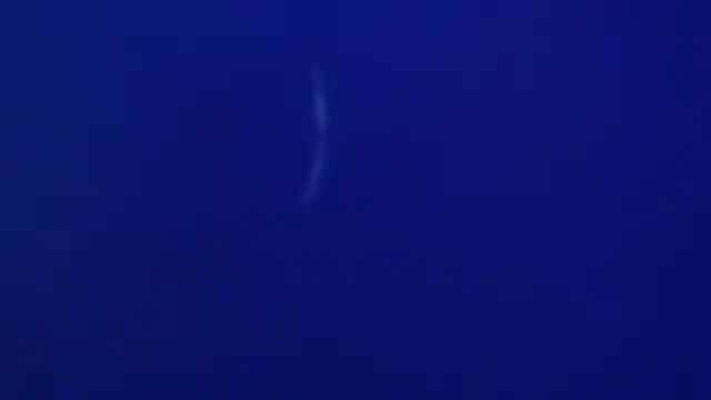 The1BBC online show from February 12, 4:13 pm