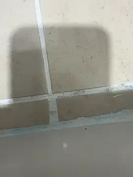 popi9421 online show from November 23, 8:25 am