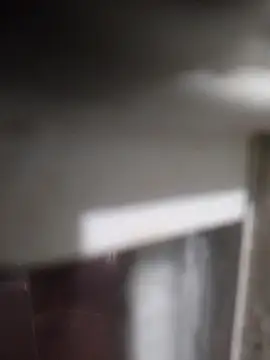 pauzaogrande1 online show from February 7, 8:43 am