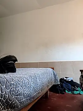 Tinh0t online show from November 15, 1:24 pm