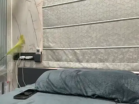 Nishant007 online show from November 10, 11:37 am