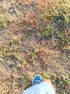 coocon2020 online show from November 16, 2:36 am