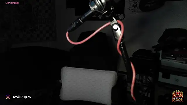 DevilPup75  online show from January 18, 2:57 am