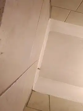 Lushen704 online show from October 22, 9:40 pm