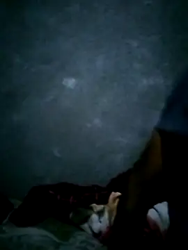 CrepedTrek online show from November 17, 5:49 pm