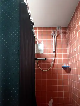 Lincs Phoenix online show from November 23, 9:04 pm