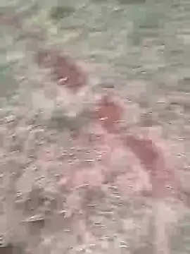 sonotutto online show from October 12, 6:02 pm