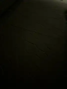 Foxfoxfox4 online show from March 27, 4:08 pm