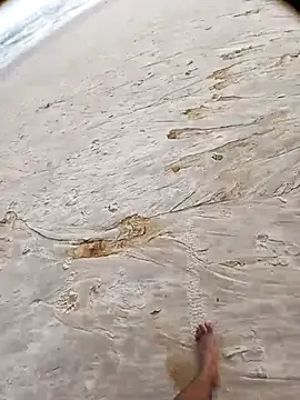 escorpionsd online show from September 29, 7:10 pm