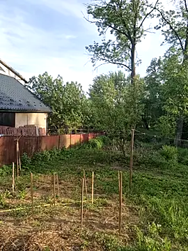Alekseycv11 online show from May 25, 4:35 pm