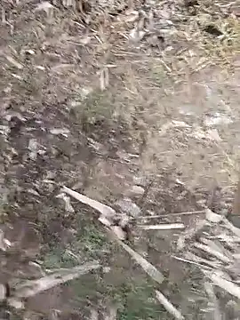 mehedi86485 online show from October 6, 9:58 am