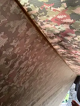 Alabestia12 online show from November 11, 8:58 pm