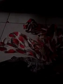 Snapshot of Flaqki chatting on September 14, 8:11 pm Flaqki online show from September 14, 8:11 pm