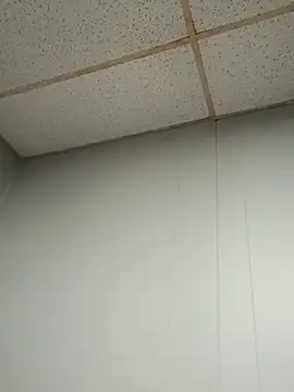 Longthickdick33 online show from October 17, 7:29 pm