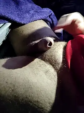 bad wolf28 online show from March 16, 9:24 am