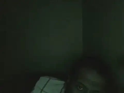 elpoop7305 online show from January 14, 9:40 pm