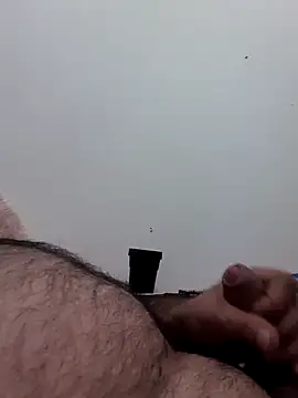 body02081 online show from October 3, 11:21 pm