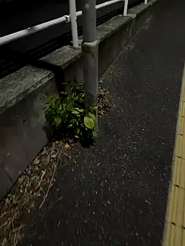 daikimaeda online show from September 29, 2:02 pm