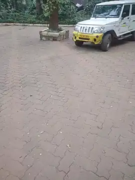 BasicGoal96 online show from November 12, 1:44 am