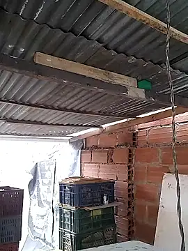 hoteder online show from January 19, 12:51 pm