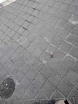 xxxfeo online show from April 9, 12:00 pm