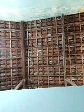 NegroAracaju online show from April 19, 12:10 am