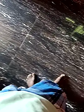 dolphiinn online show from October 12, 7:35 am