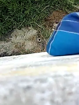 dolphiinn online show from February 4, 11:16 am