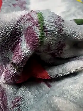 BzzDihh online show from November 23, 6:19 pm