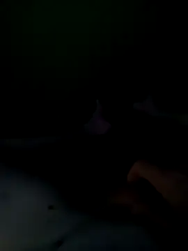 Rudie1 online show from September 14, 6:54 pm