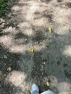 amo660 online show from September 20, 10:04 am