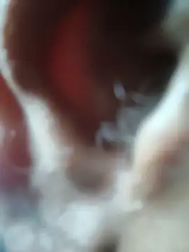 vardh033 online show from March 26, 12:31 pm