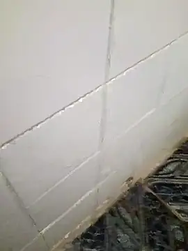 kelvinjesus34 online show from October 19, 6:39 am