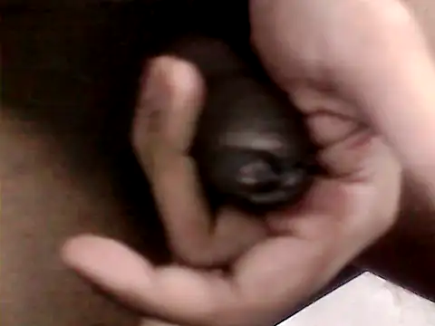 Bakasur 19 online show from October 13, 6:36 pm