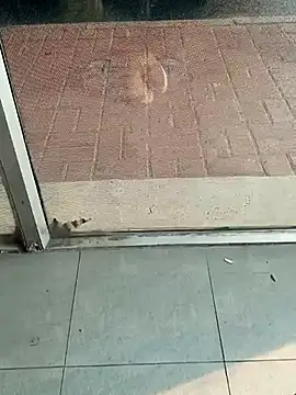 beerant online show from December 1, 5:21 am