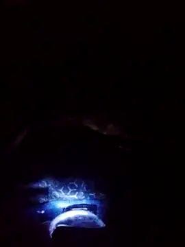 gostoso delas 2 online show from September 17, 4:19 pm