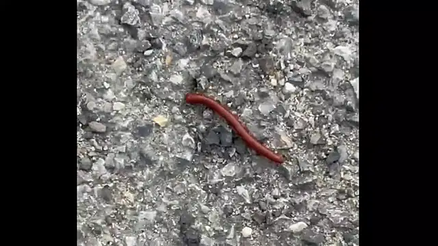 ohyesd4ddy online show from December 1, 6:22 pm