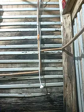 novinho100795 online show from November 13, 12:15 am