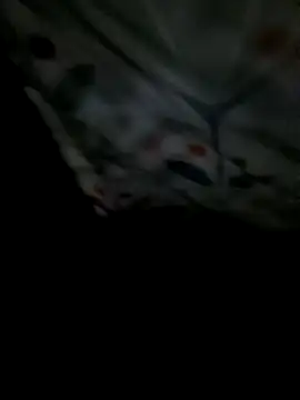 8133vaibhavh online show from February 4, 2:28 am