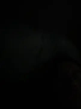 busnfatnutsLildee online show from February 5, 1:07 pm