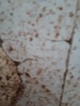 goodzx2 online show from September 16, 12:50 pm